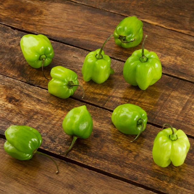 Chile Habanero - (3pz)