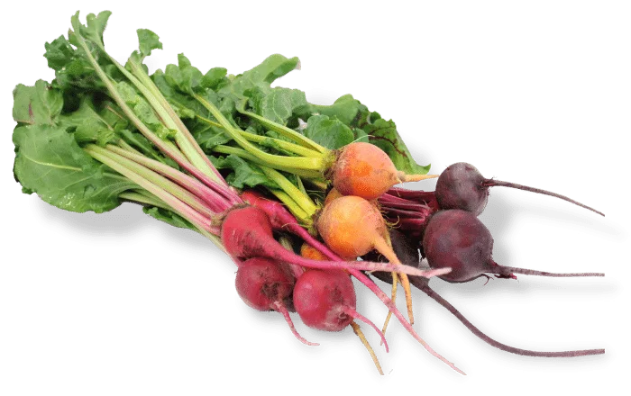 Mix Baby Beet (2lb)