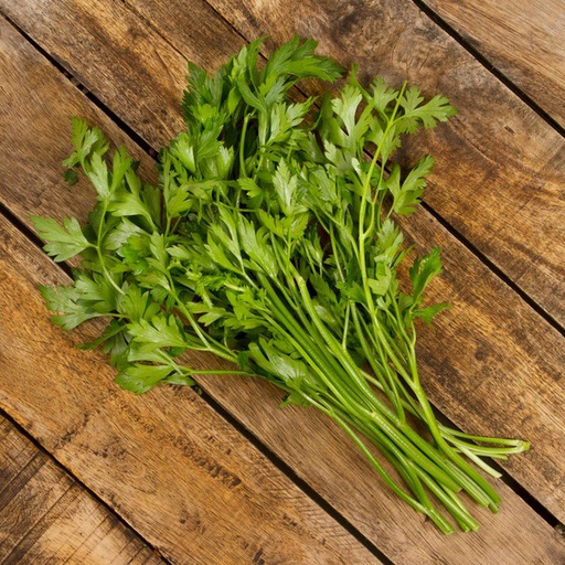 Parsley - (bundle)