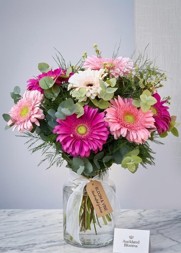 Gerberas 